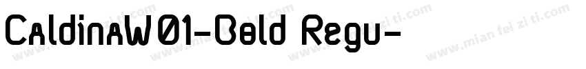 CaldinaW01-Bold Regu字体转换